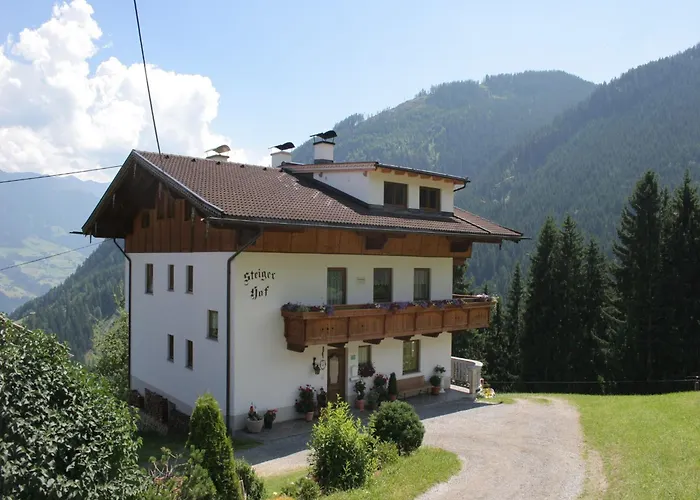 In Zillertal Near Slopes Lejlighed *